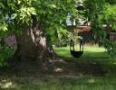Tire swing, home in a small town in Nebraska