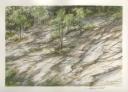 Nature Insists - Trees growing through rocks,  North Carolina - 11 x 14 Graphite, WC Pencils, Dry Pastels on paper