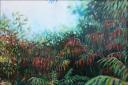 Sumac Bushes - 20 x 34 inches Acrylics on canvas, unframed, older work.