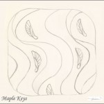 Maple Keys, pencil on paper