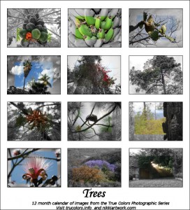 Trees, a 12 month calendar from the True Colors Photographic Series / Art Project. Also see trucolors.info Trees, a 12 month calendar from the True Colors Photographic Series / Art Project. Also see trucolors.info