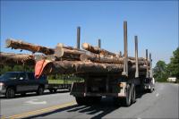 Logging truck near Greenville, North Carolina