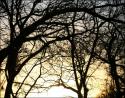 Spring sunset, Coppell, Texas