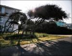 Late afternoon, Kitty Hawk, Outer Banks, North Carolina