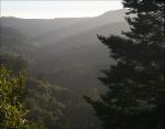 Above the clouds - looking down toward John Muir National Forest near Santa Cruz, CA