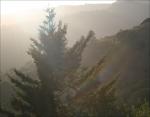 Above the clouds - looking down toward John Muir National Forest near Santa Cruz, CA