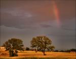 Rainbow at sunset, Lewisville, Texas