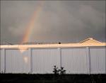 Rainbow Blessing - newly planted trees, Airdrie, Alberta, Canada