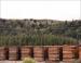 Lumber yard, Redwood Forest, northern California