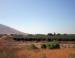 Beehives, central California agriculture