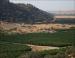 Beehives, central California agriculture