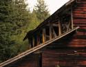 Abandoned house near Ft. Bragg, California