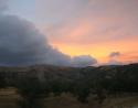 Rolling hills, mostly Oak near Tehachapi Pass, California