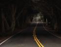 Near Ft. Bragg, Hwy 1, California