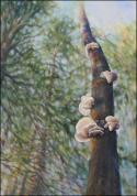 Polypore Fungi, 58 x 41 x 2 inches acrylics, carved modeling paste on canvas, gallery wrapped sides painted