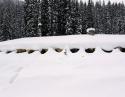 Roger's Pass, Lodge: No Vacancy, Trans-Canada Hwy, B.C.