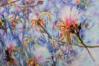 Flowering Shavingbrush Tree, detail of mask medium removed