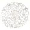 The Tree of Life, preliminary sketch