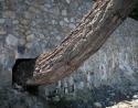 Retaining wall, Sidney, Vancouver Island, B.C.