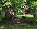 Front yard tire swing, small-town Nebraska, USA