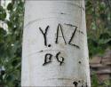 Aspen, Taos, New Mexico