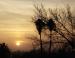 Sunset, Palms, Bakersfield, California