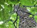 Hackberry leaves, Madison