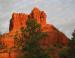 Knobcone Pine, Bell Rock, Arizona