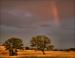 Evening storm, Oak, Lewisville, Texas