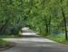 Road to the Arboretum, Madison