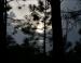 Sunset silhouettes, Bodie Island, North Carolina