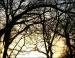 February sunset, Coppell, Texas