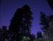 Autumn evening, 8:13 p.m., Giant Redwood and Sequoia National Park, California