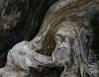 Driftwood, Victoria Beach, BC, Canada