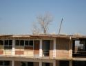 Tree on roof, condemned motel, Childress, TX