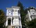 Sycamore and conifers, San Francisco, CA