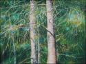 Eastern White Pine, 26H x 32W inches Oil Pastels on paper, professionally framed