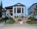 Driftwood lawn ornament, Edmonton, Alberta