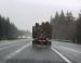 Logging, Bellingham, Washington 