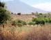 Mexico: much of North Americans' winter fruit are imports from other countries