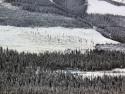 Clearcut patches on the mountains, Roger's Pass, Hwy 1, BC Canada
