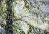 Sun Shower, central detail