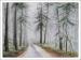 Salt Spring Island Fog, dry pastel, graphite on paper, professionally framed size 29 x 34 x 3 inches 