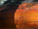 Arbutus, smoother bark under rough