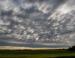 Trees as wind-breakers, farm fields, Waskateneau, Alberta