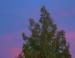 November 2006 evening