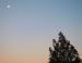 Moonrise December 2006 