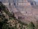 Grand Canyon, AZ: hardy conifers