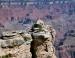 Pinyon, Grand Canyon National Park, AZ