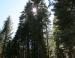Yosemite National Park, CA
